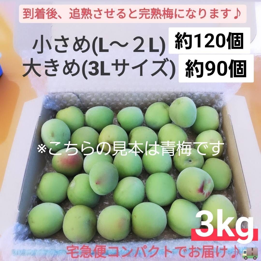 紀州南高梅 3kg 完熟梅 訳あり クール便 和歌山産 - メルカリ