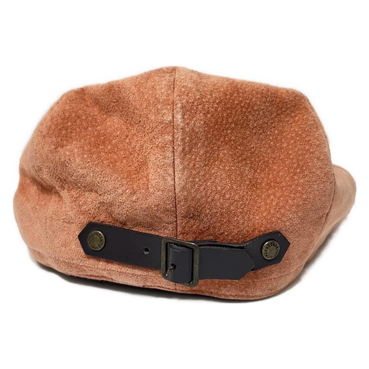 アンモナイト 化石 2点 まとめ アンモナイ化石 北海道 立札付 2点