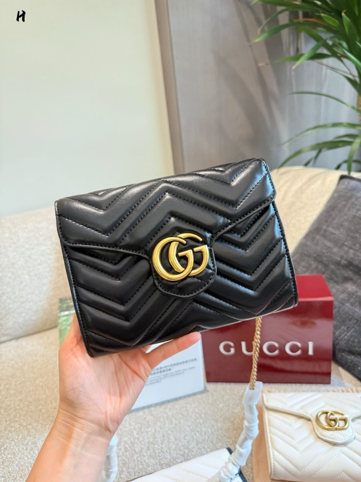 今日 GUCCI