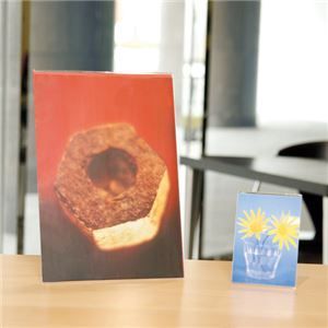 まとめ クルーズ サインホルダー両面用 A6ヨコ CR48601 1個 ×15セット