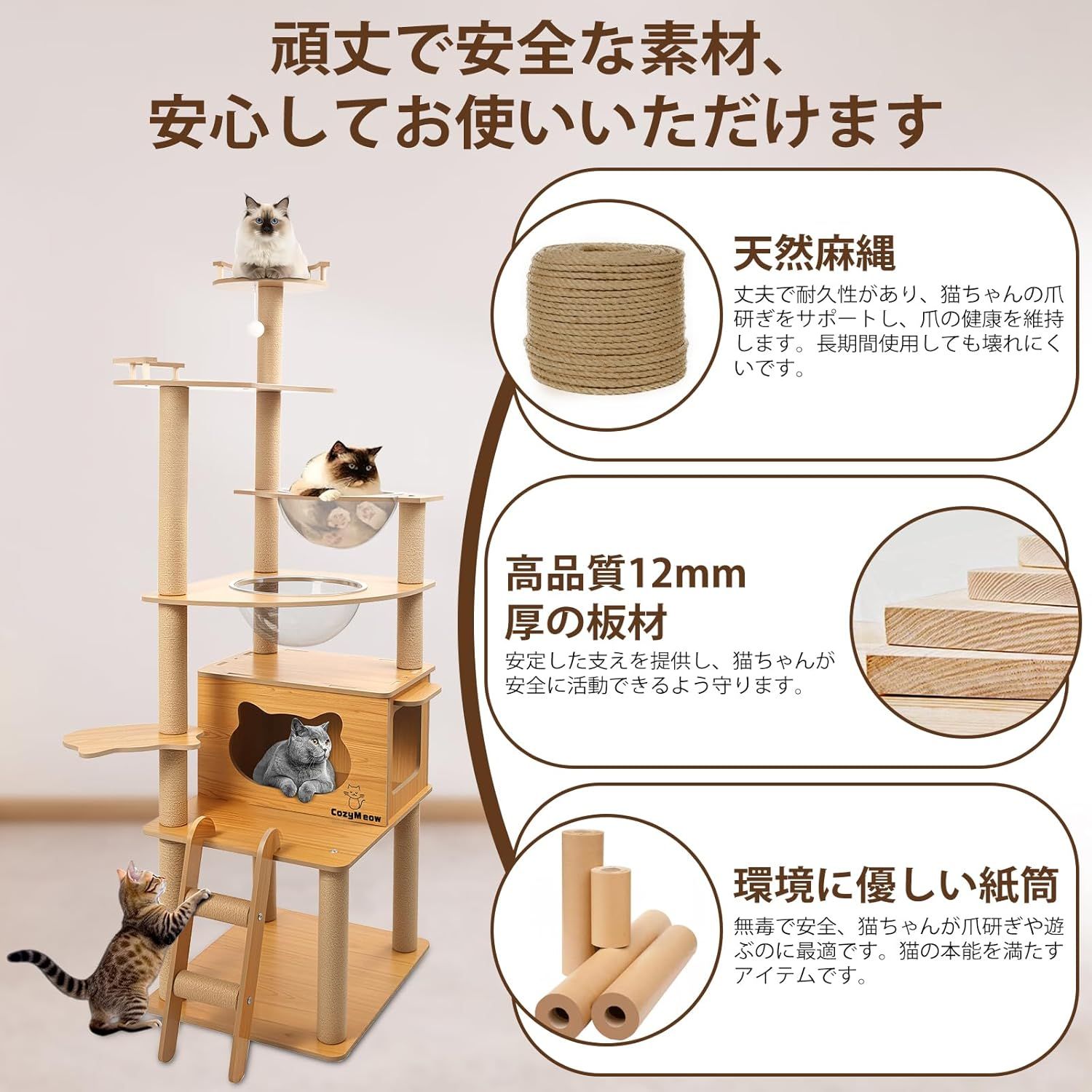 猫