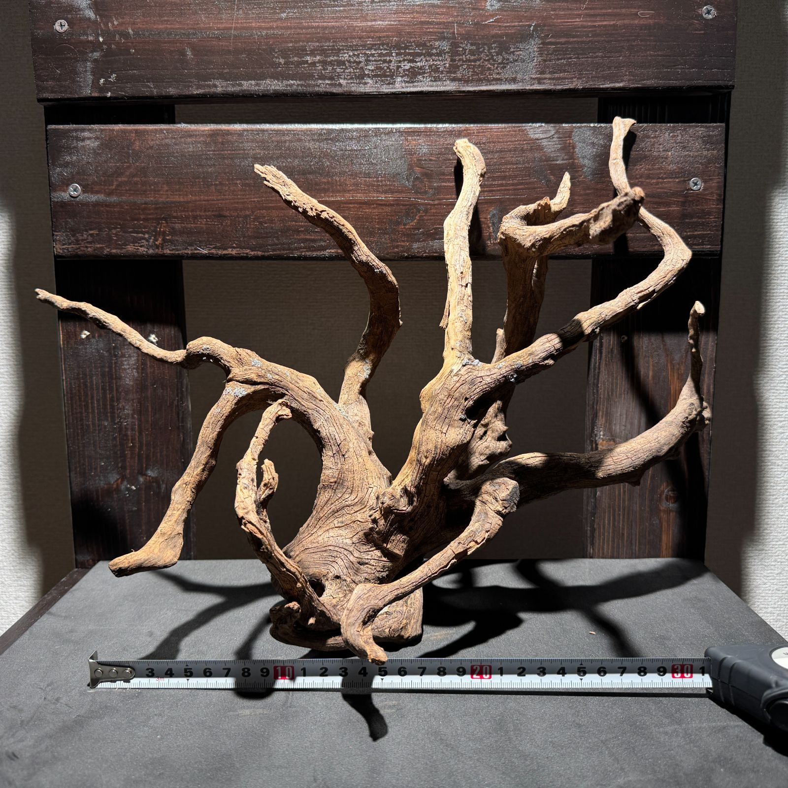 6本セット 流木 テラリウム アクアリウム レイアウト ブランチ 未使用6