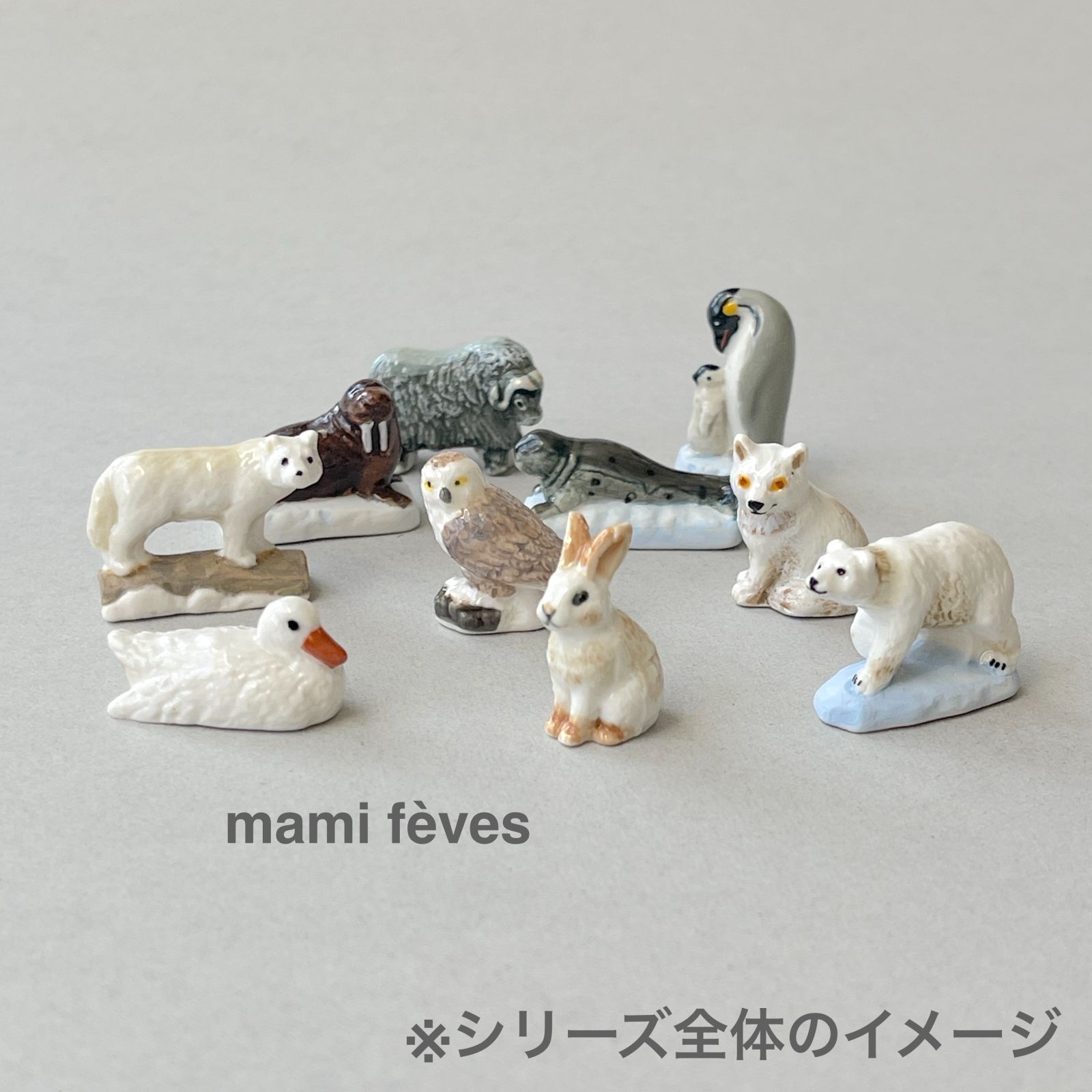 フェーヴ ジャコウウシ 北極の野生動物たち フランス フェーブ