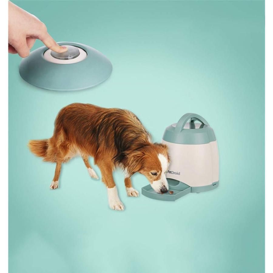 ペット自動餌犬のボタンを押して型が自動的に給餌装置インテリジェントトレジャーハンターを押す
