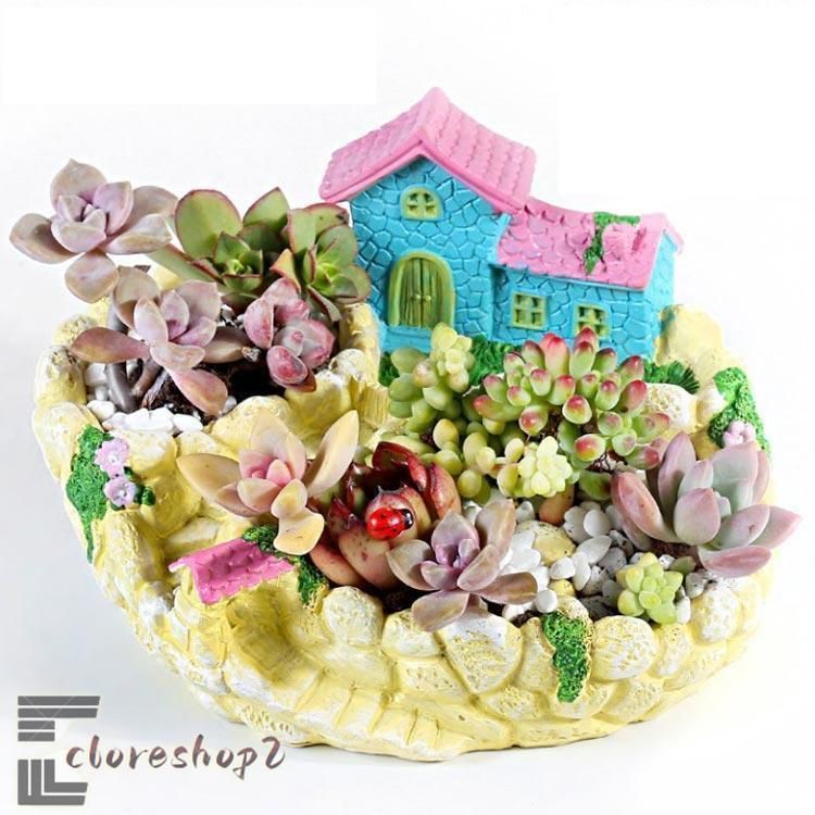 多肉植物 寄せ植え 植木鉢 鉢 お城 民家 ハウス 別荘 大サイズ