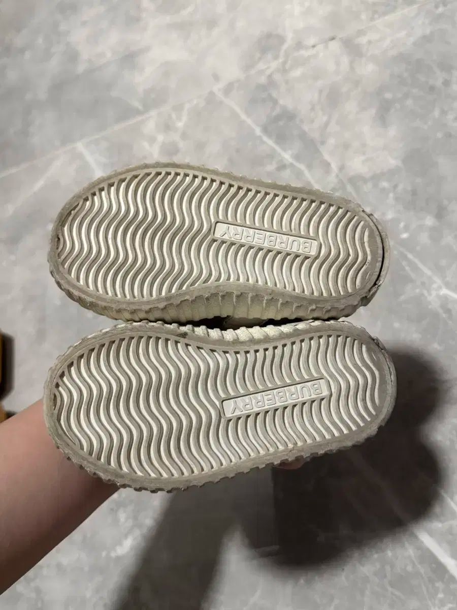 バーバリーチルドレン