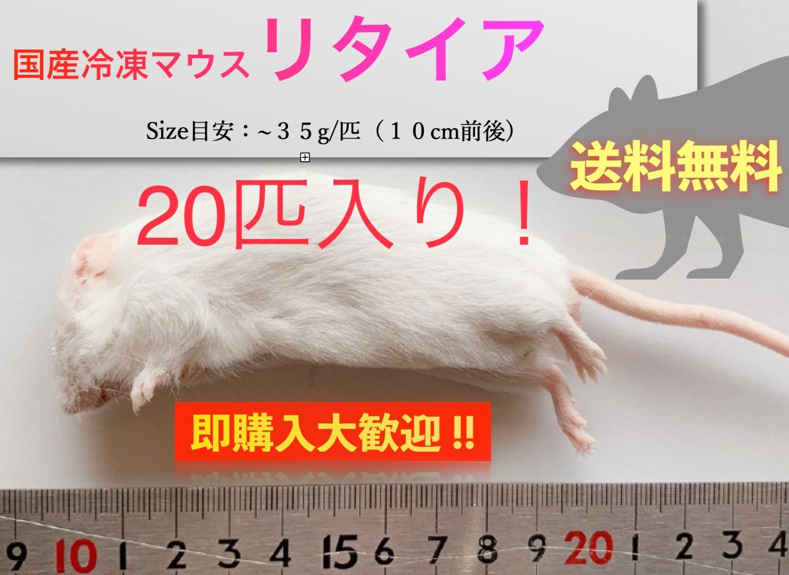 国産冷凍ピンクマウスL 、XL100匹 北海道、沖縄及離島発送不可 非売品 