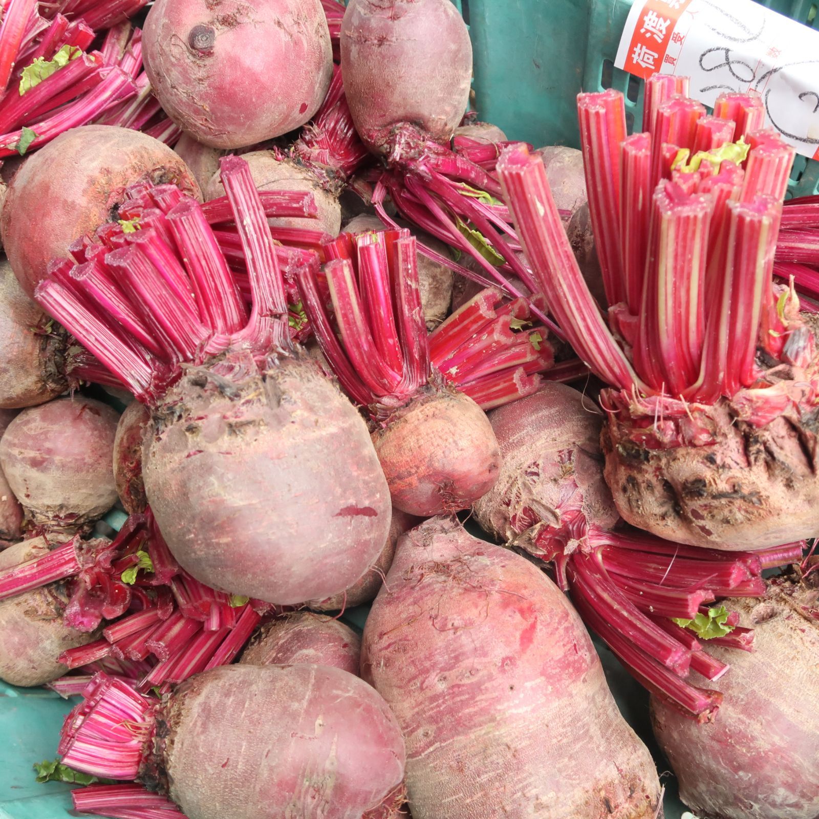 沖縄県産 ビーツ 24kg シャキシャキ 食べる血液食品 - 野菜