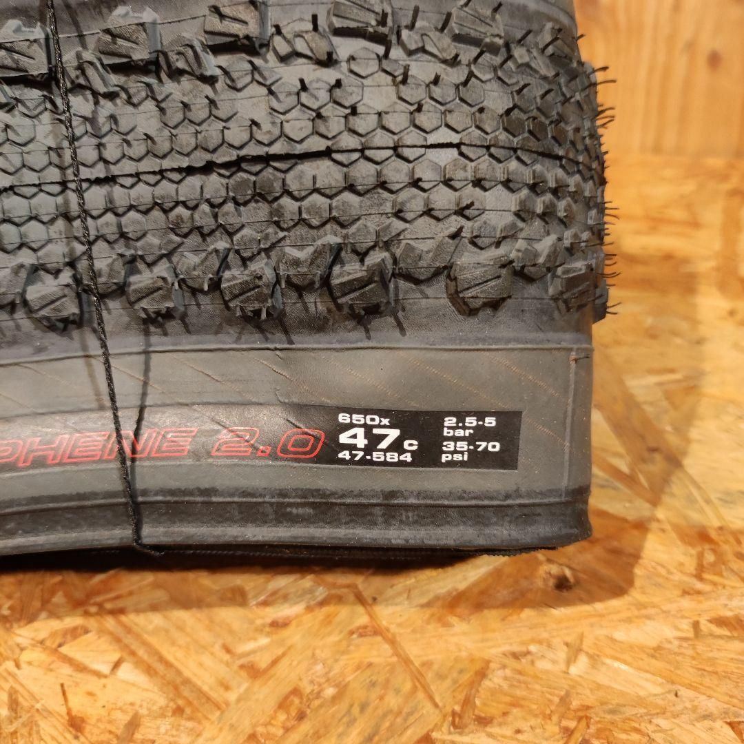 VITTORIA TERRENO DRY G2.0 650b×47 2本セット！