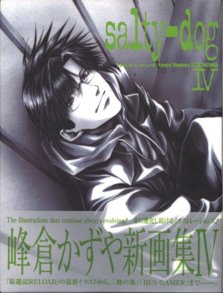 Amazon.co.jp: salty-dog IX (イラスト集) : 峰倉 かずや: 本