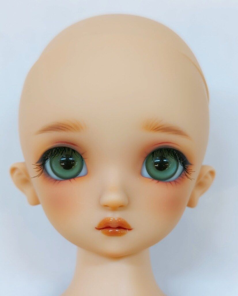コーディネートモデル F-60