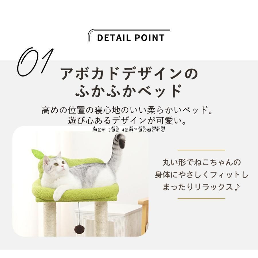 シニア