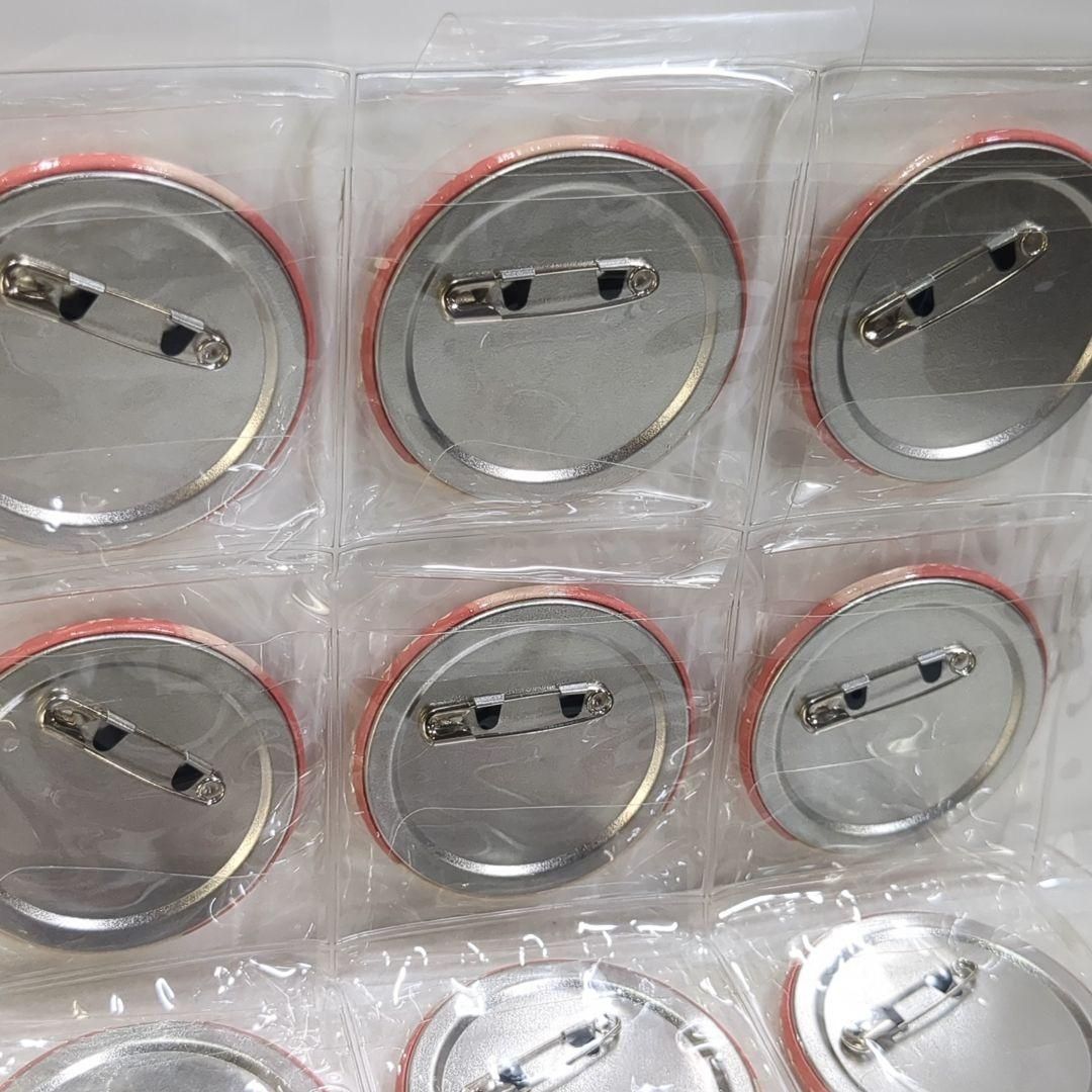 nqrse なるせ あなめ あらなるめい 2023 LIVE 缶バッジ 24個