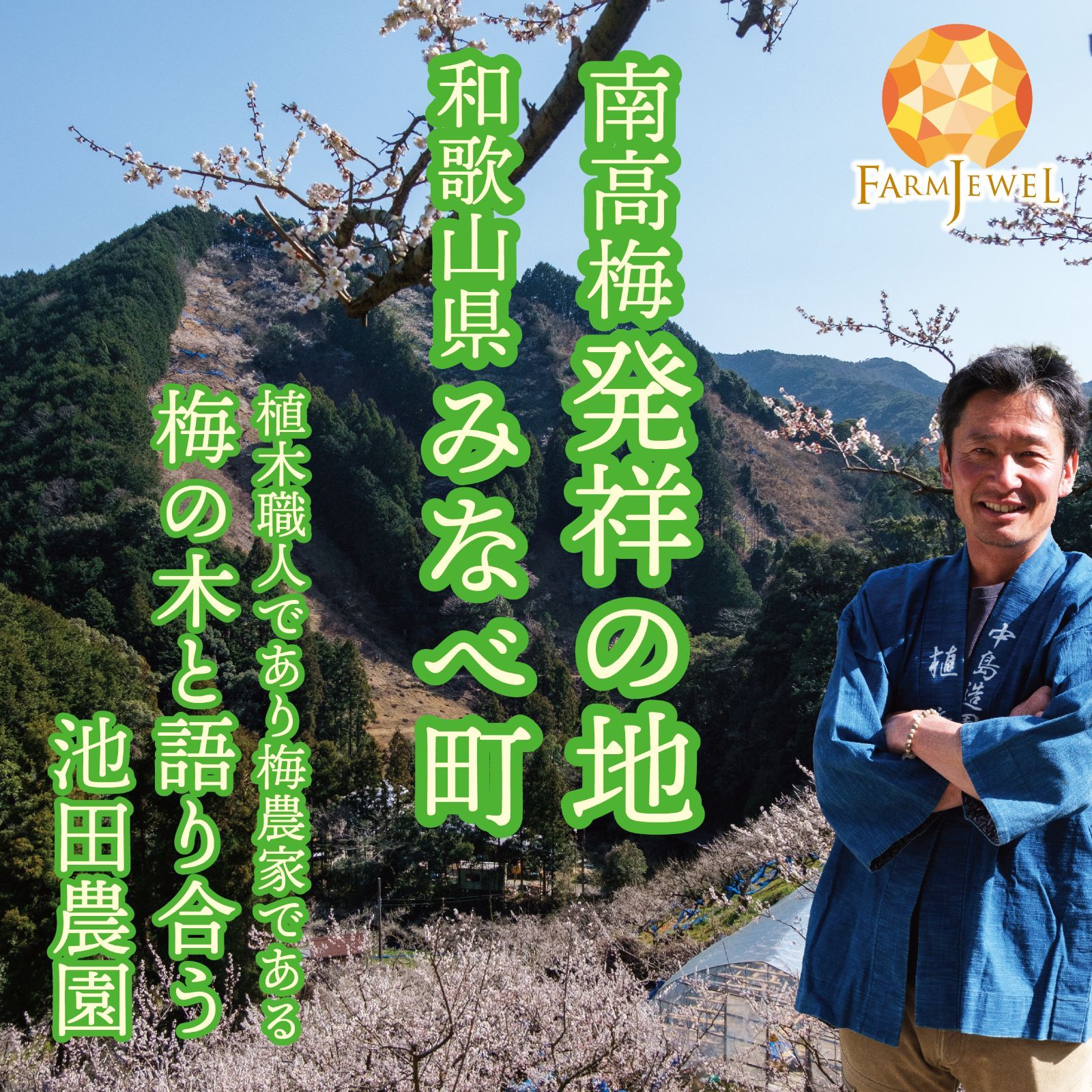 今ならまだ間に合う!!!] 完熟梅 南高梅 和歌山県 みなべ産 2kg