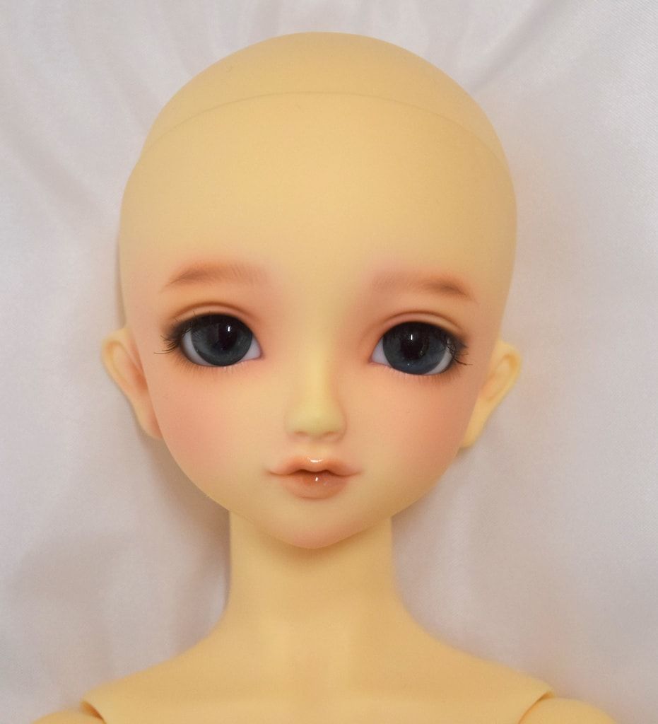 ボークス SD女の子 スタンダードモデル ここ