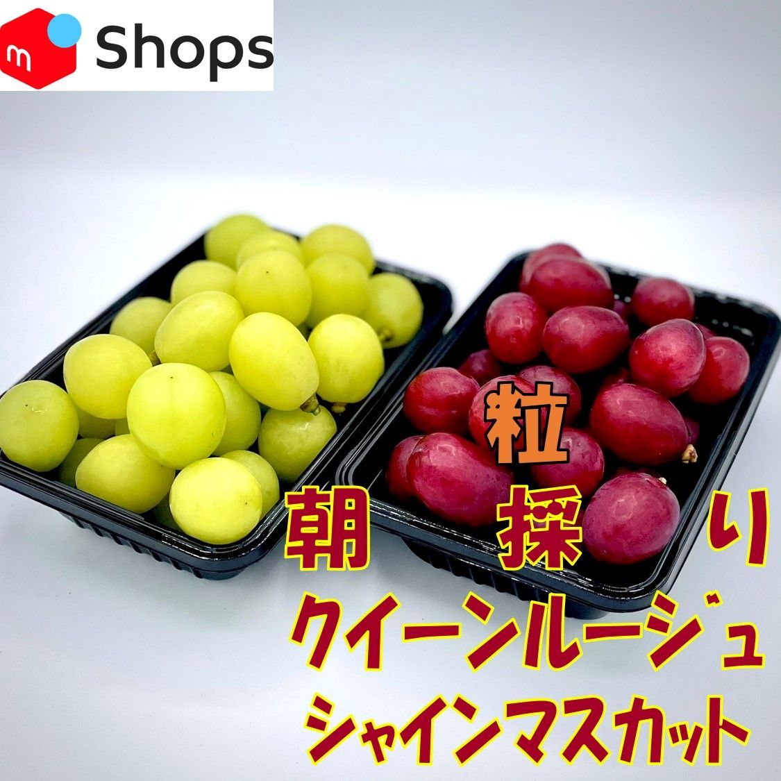 キアオラ 犬用 ラム&サーモン 9.5kg+950g - ペットフード