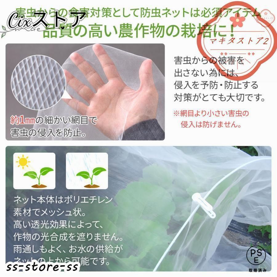 畑