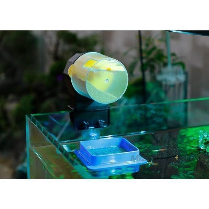 自動餌やり機 オートフィーダー 自動給餌器 ペットグッズ 魚 熱帯魚 金魚 水槽用 アクアリウム エサやり 餌やり 12時間 24時間 STEELWINDOWSANDDOORS_COM