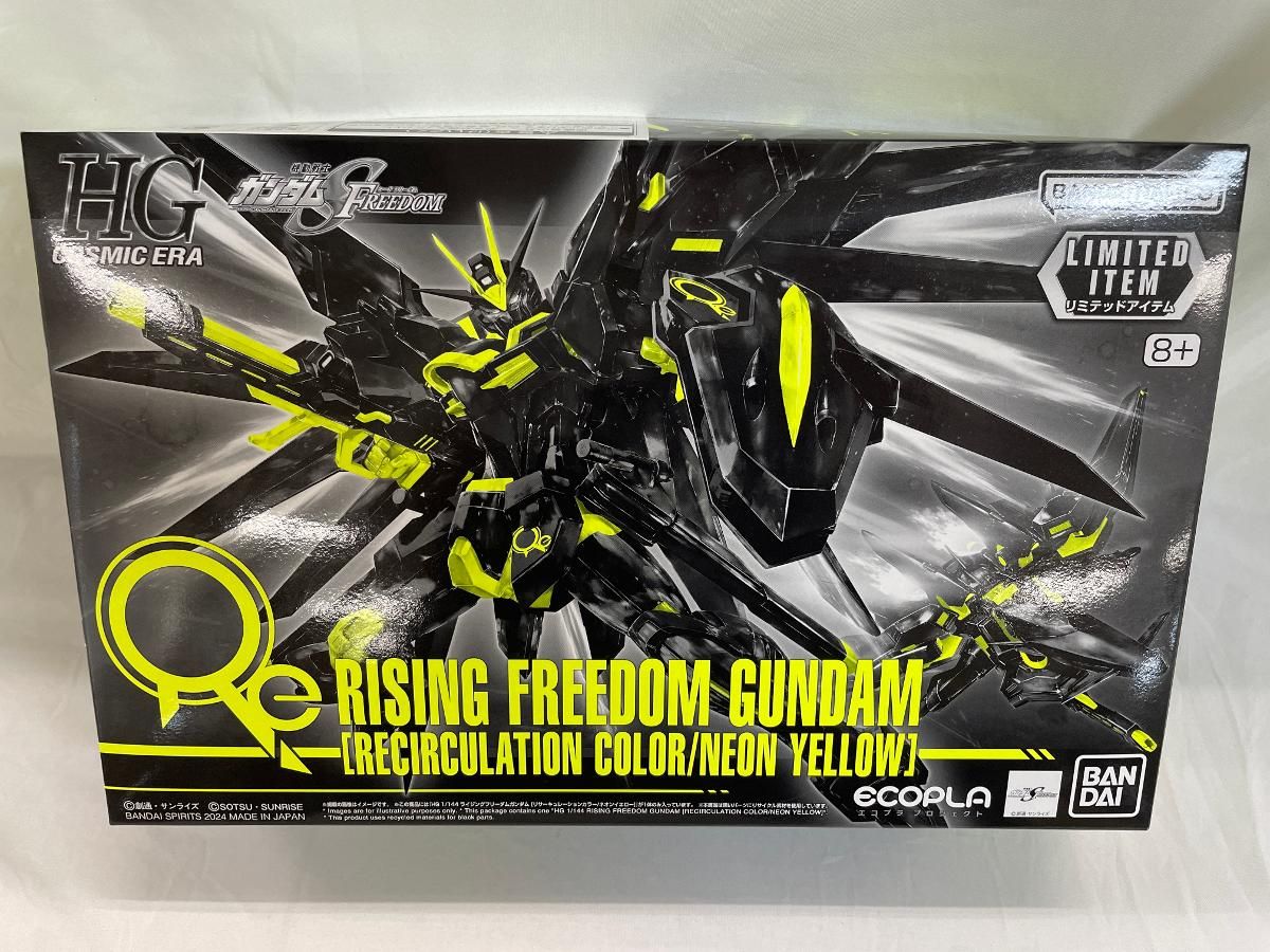 未開封】1/144 HG STTS-909 ライジングフリーダムガンダム[リ