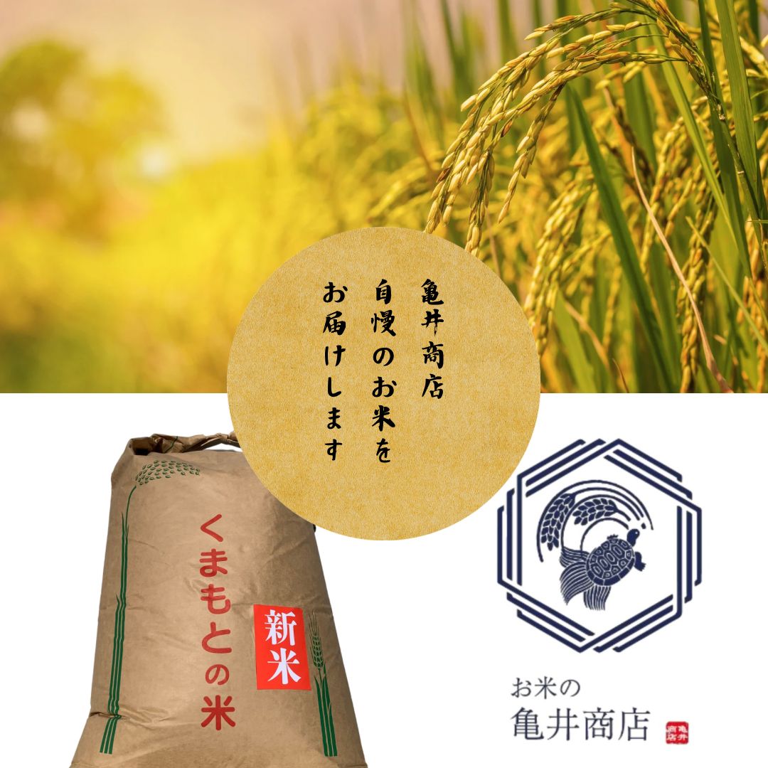 6年熊本県産 ヒノヒカリ玄米20キロ