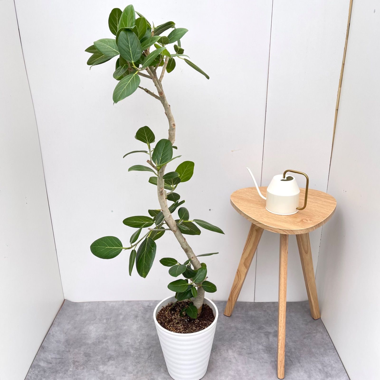 10 現品