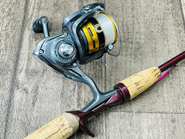 穴8コ 全長188cm