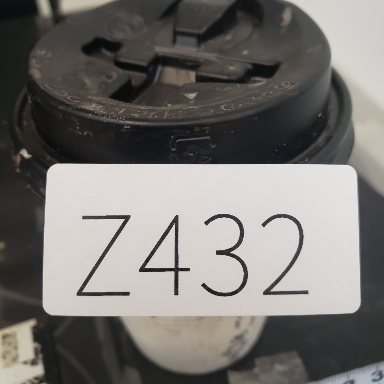 最新到着 Commiphora