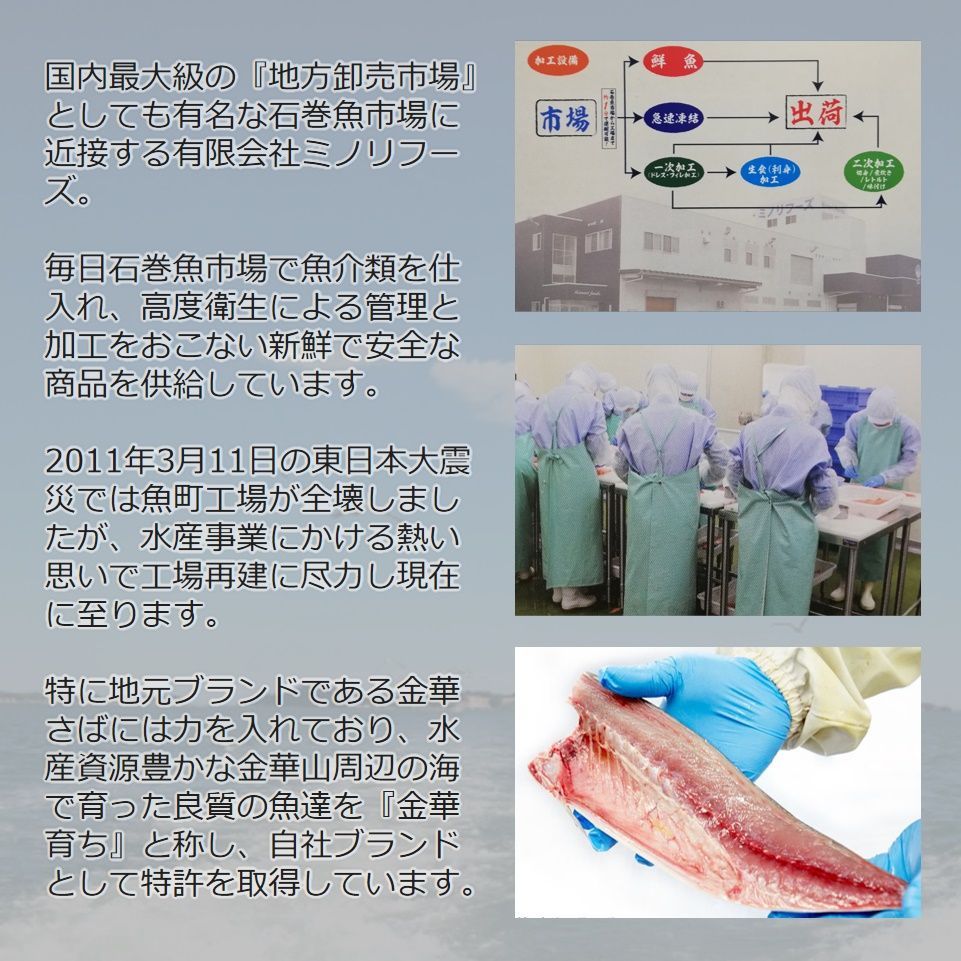 さば 宮城県三陸産 金華しめさば 石巻 ブランド鯖 こだわり製法 特大さば