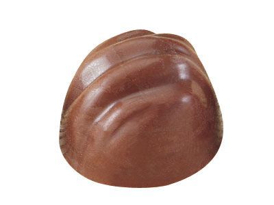 ポリカーボネイトチョコレートモールド MA1091