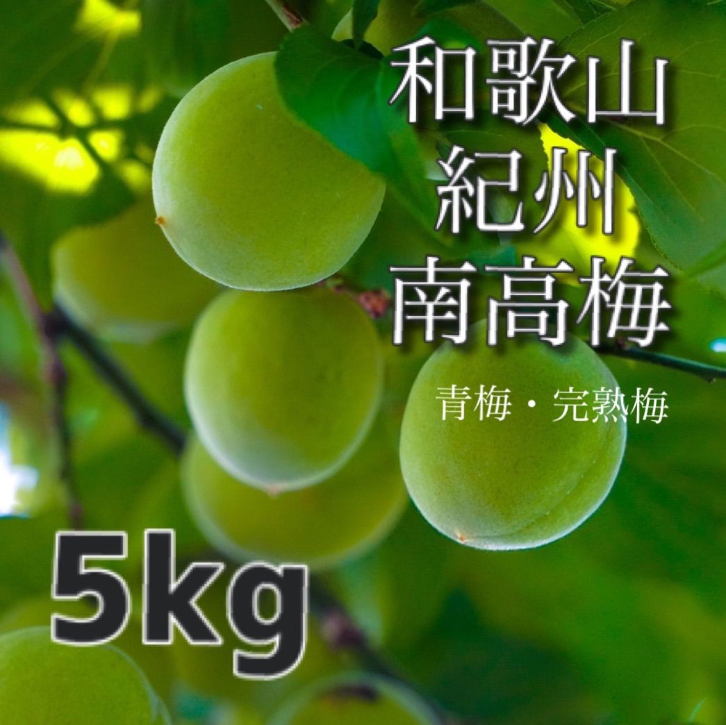 【家庭用】南高梅  大粒 5kg 青梅/完熟梅  紀州南高梅 予約販売/6月以降