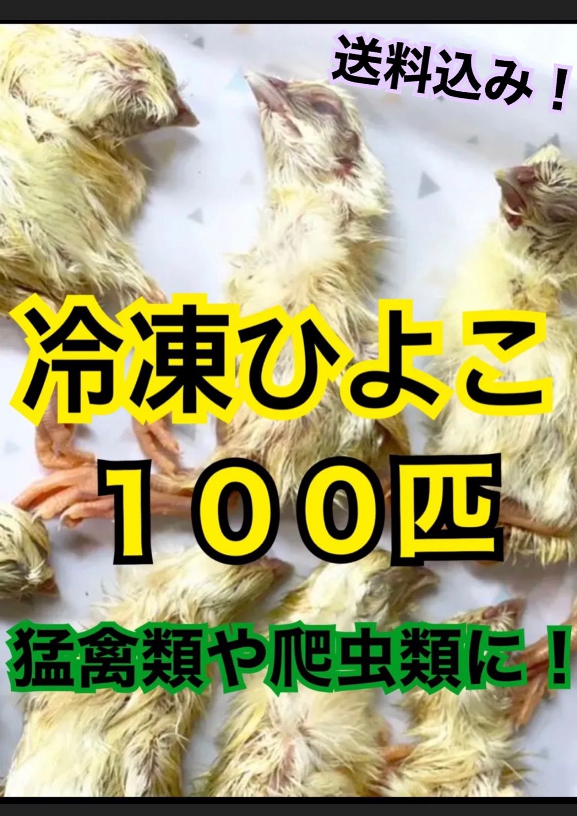 冷凍ウズラ 爬虫類・猛禽の餌 100羽入 - 爬虫類/両生類用品