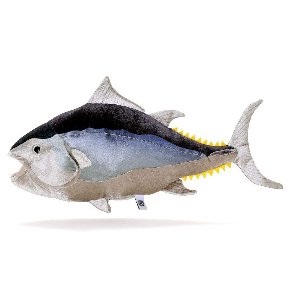 クロマグロ