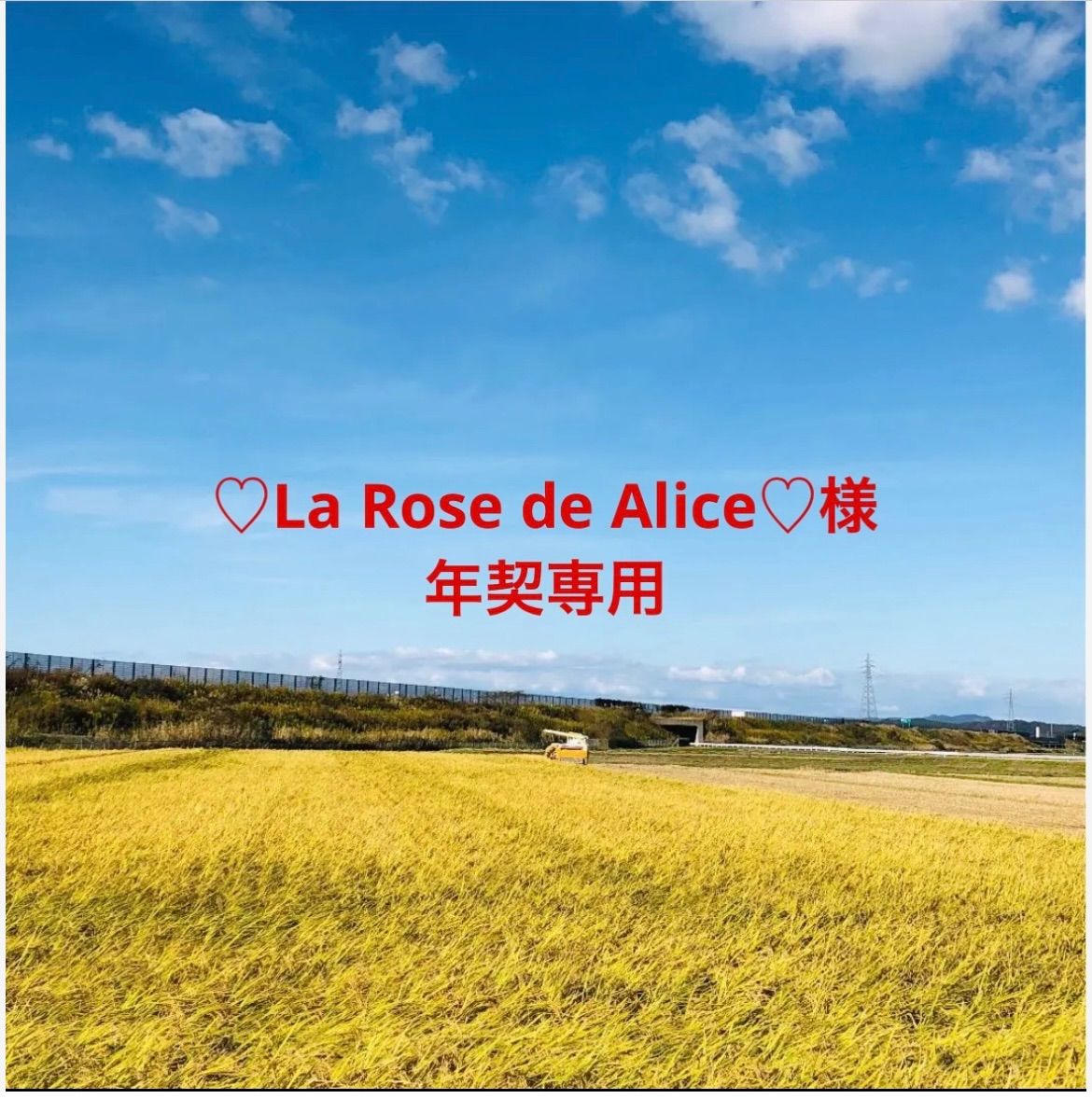 【♡La Rose de Alice♡様年契専用】令和6年度新米あきたこまち玄米30Kg