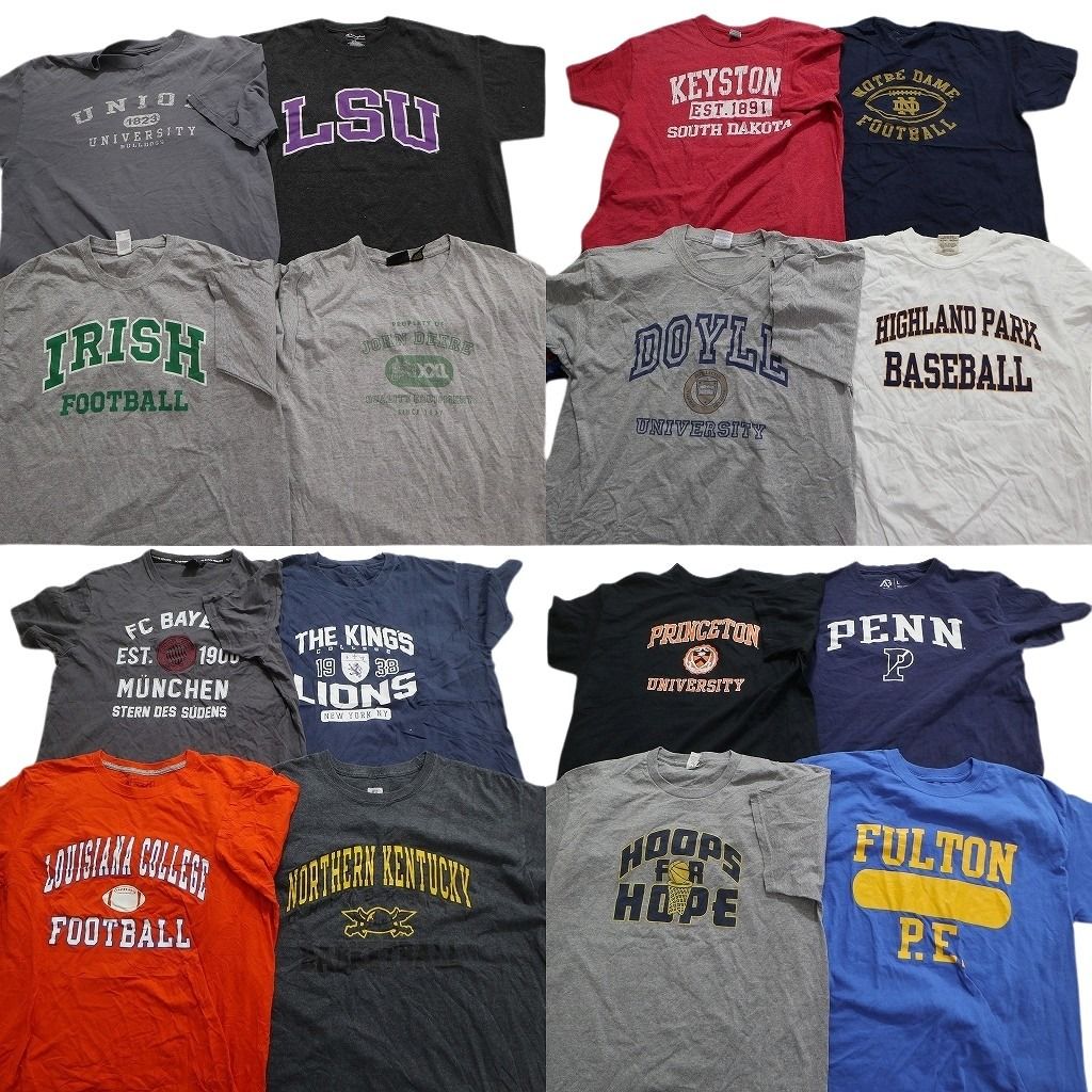 古着卸 まとめ売り カレッジ風 半袖Tシャツ 16枚セット (メンズ L ) 英字ロゴ　レッド　オレンジ　ブルー　ブラック　グレー MS9665