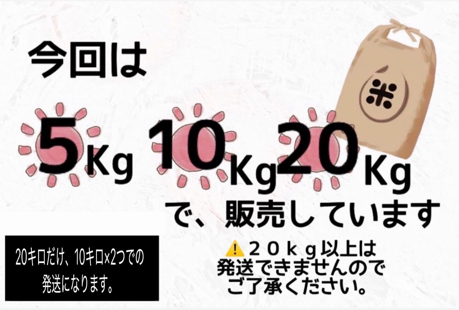 令和7年産 北海道米 ななつぼし 無洗米 20kg