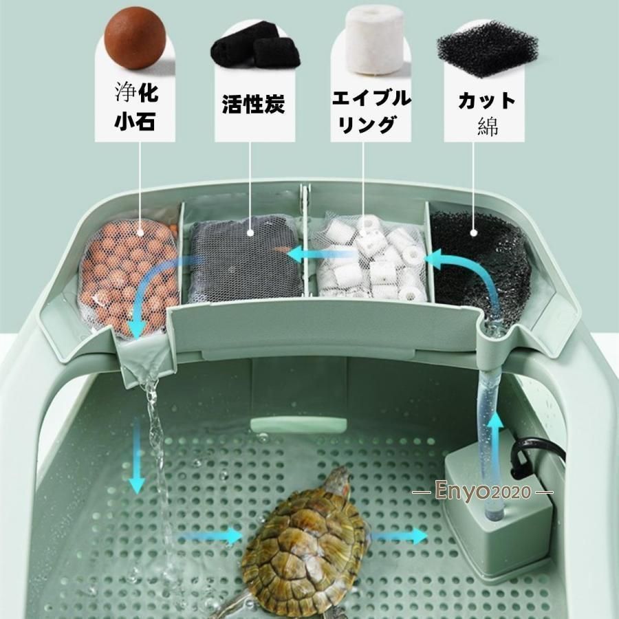 両生類 水槽