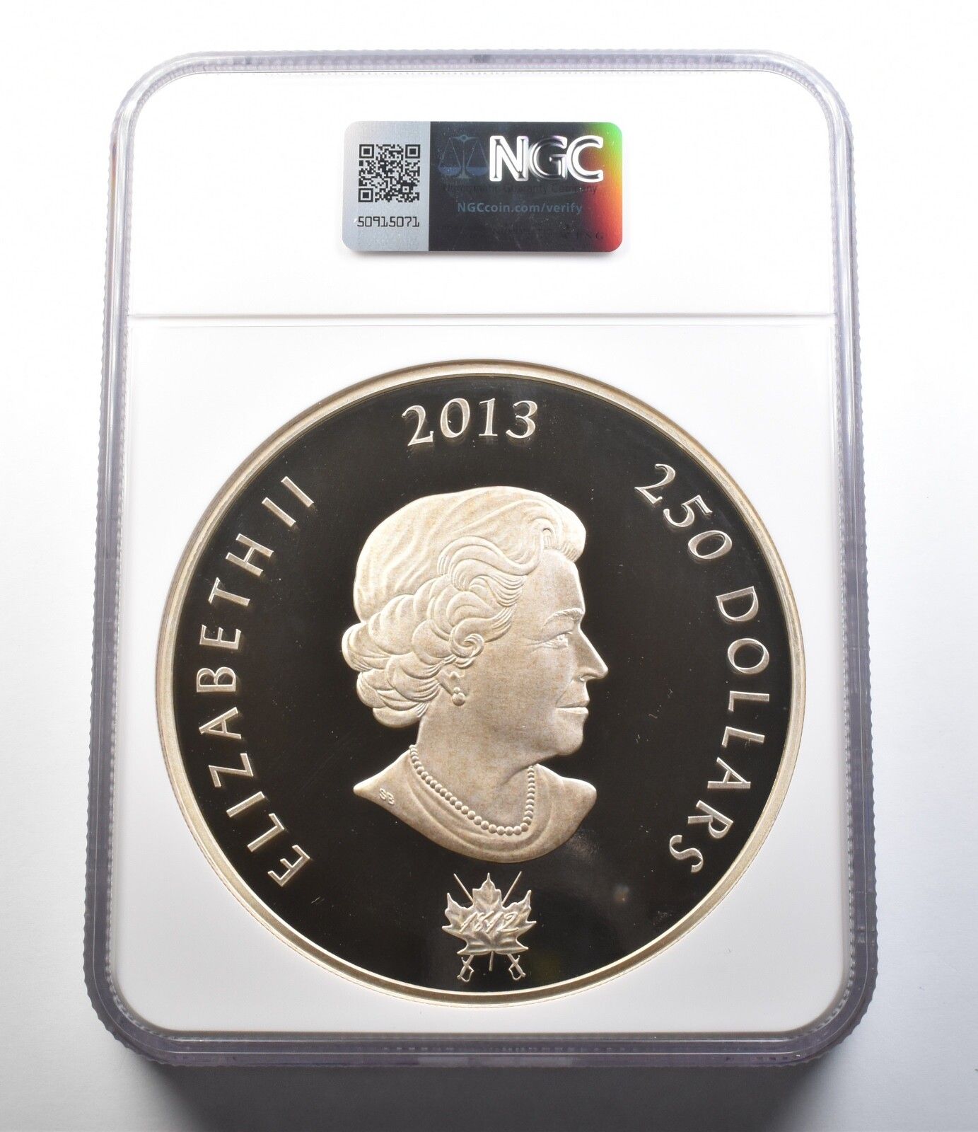 2014年カナダ100ドル銀貨 グリズリー 2014年 100ドル銀貨 - 孤独な巨人