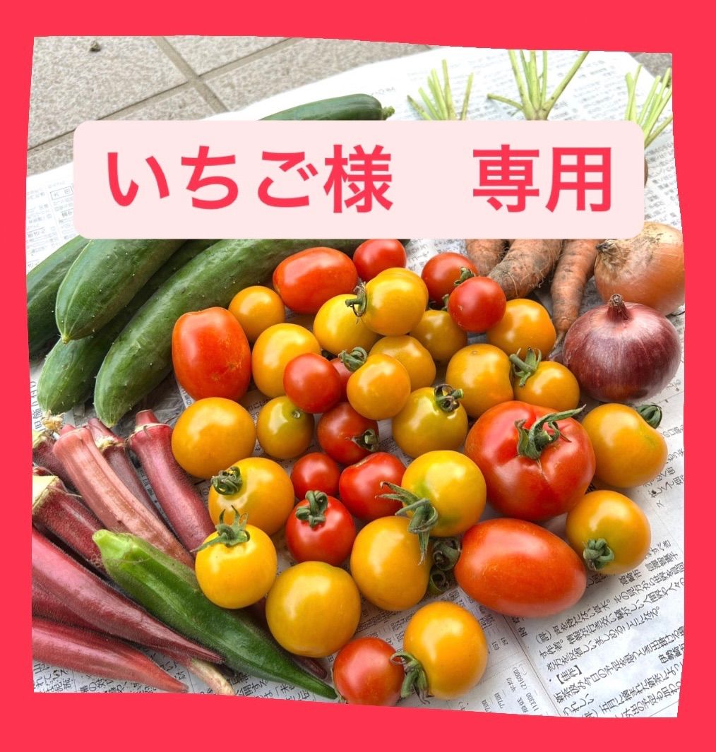 いちご様専用ページ - メルカリ