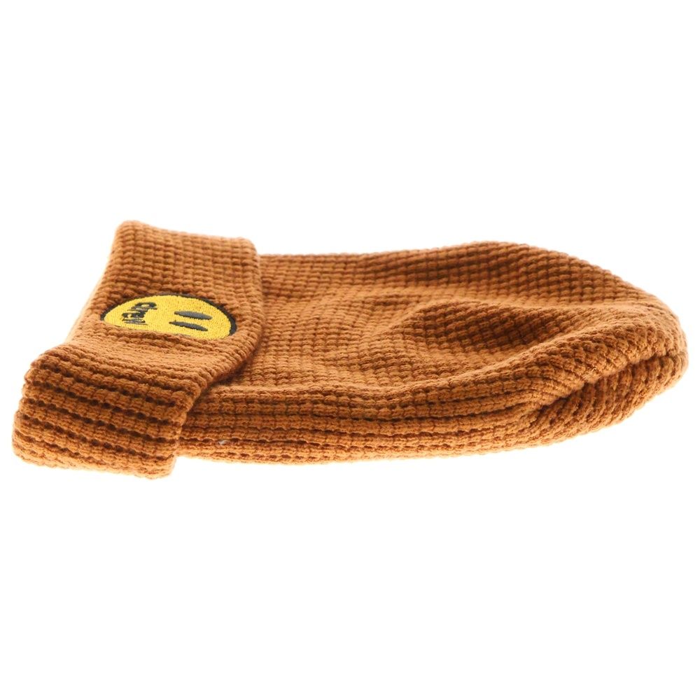 38灯 ボロノイシェード