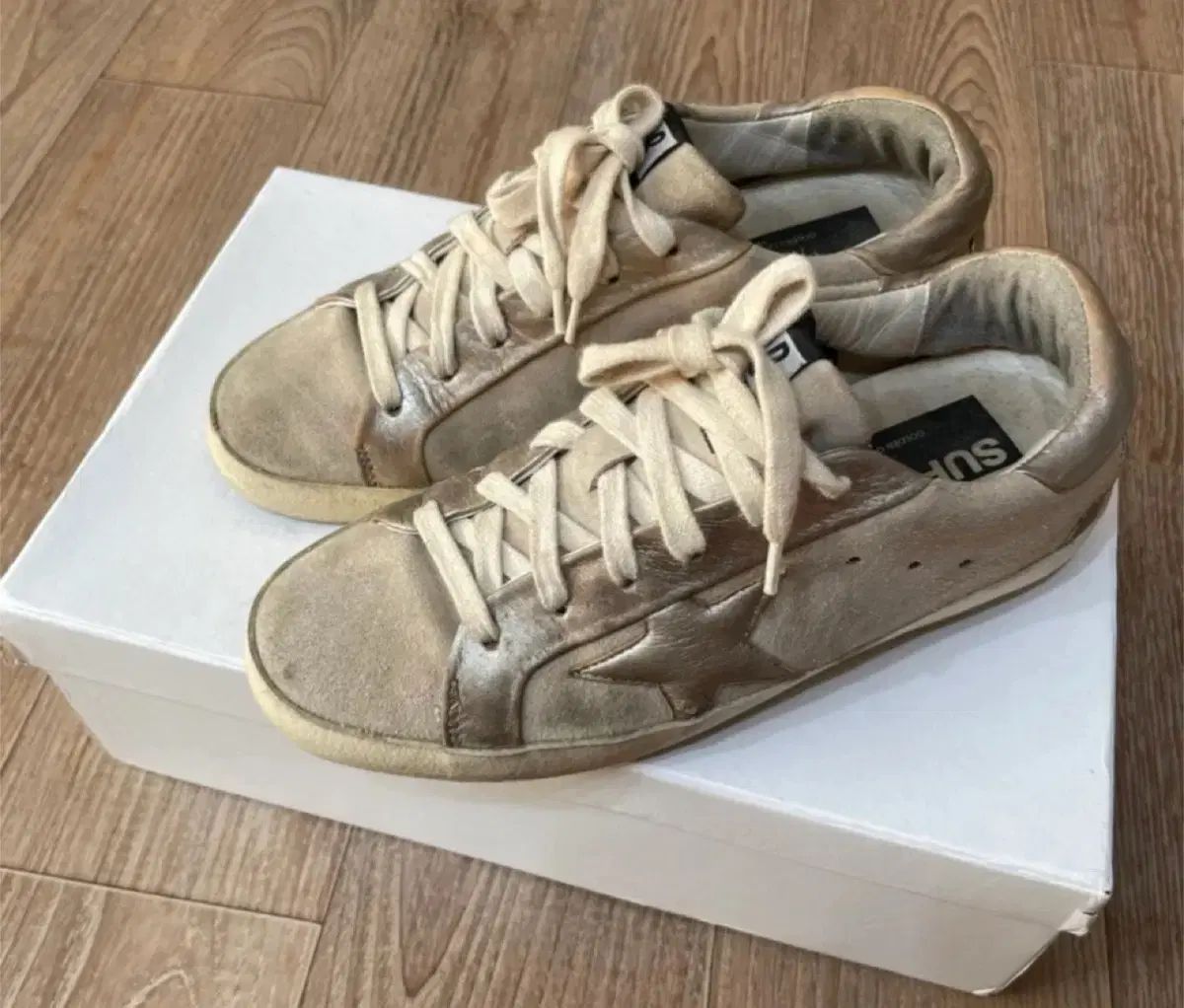 精力の護符 日本語版 [WWK] 2枚セット [EX]精力の護符/Amulet of Vigor