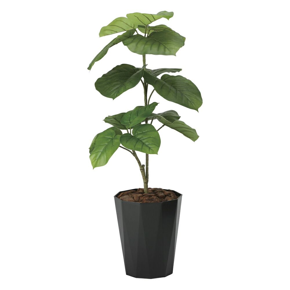 光触媒観葉植物 ウンベラータ1.0 〔フロアタイプ〕 インテリア フェイクグリーン おしゃれ アートグリーン 緑 リビング 鉢植え プレゼント ギフト 玄関 キッチン 部屋に飾る 御祝 店舗 オフ