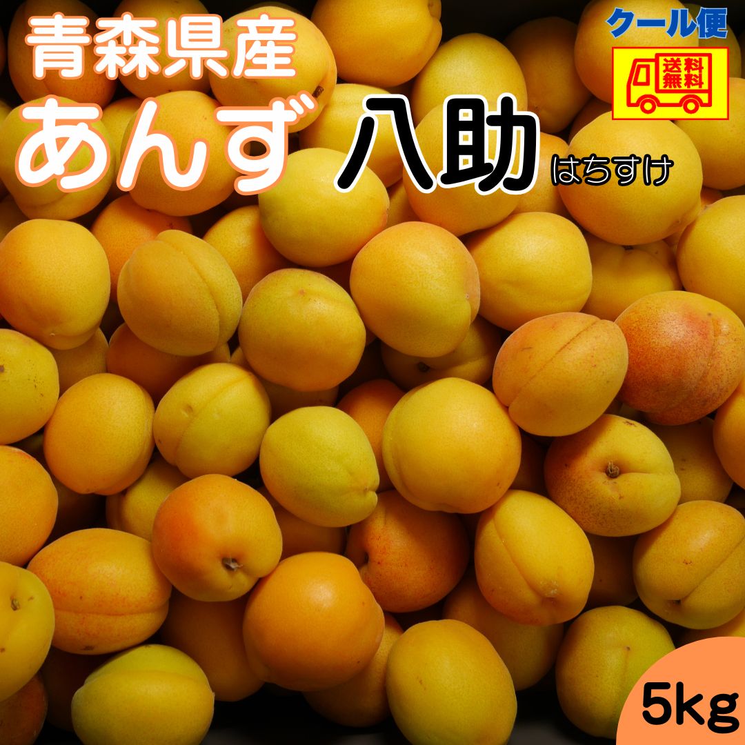 クール便　八助梅　5キロ 希少！ 青森県産 クール冷蔵便 梅 あんず 八助 5kg 全国送料