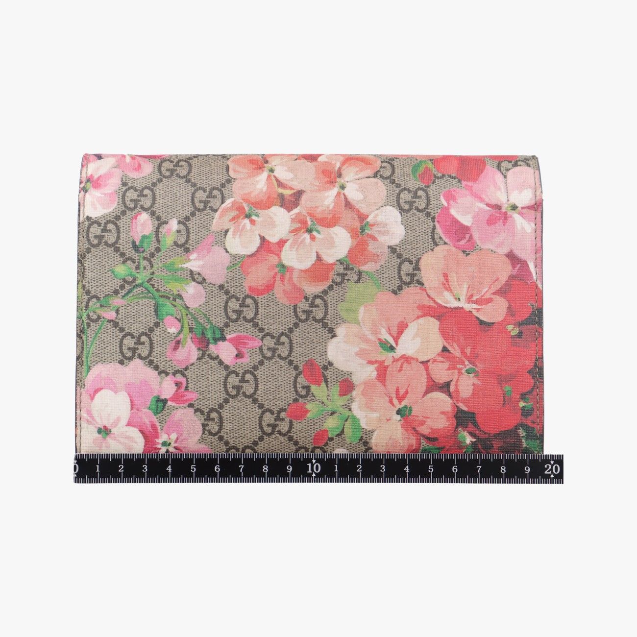 グッチGucciディオニュソスベージュ×マルチ PVCコーティングキャンバス401231