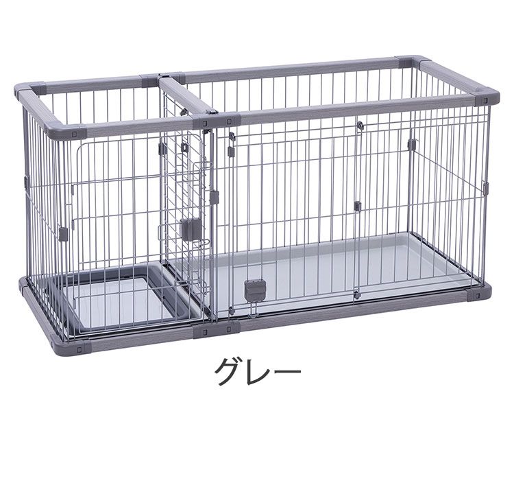 サークル レギュラー