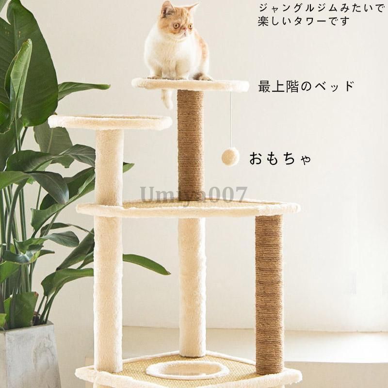 多頭飼い