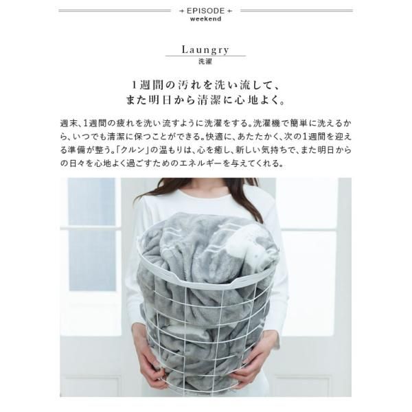 丈