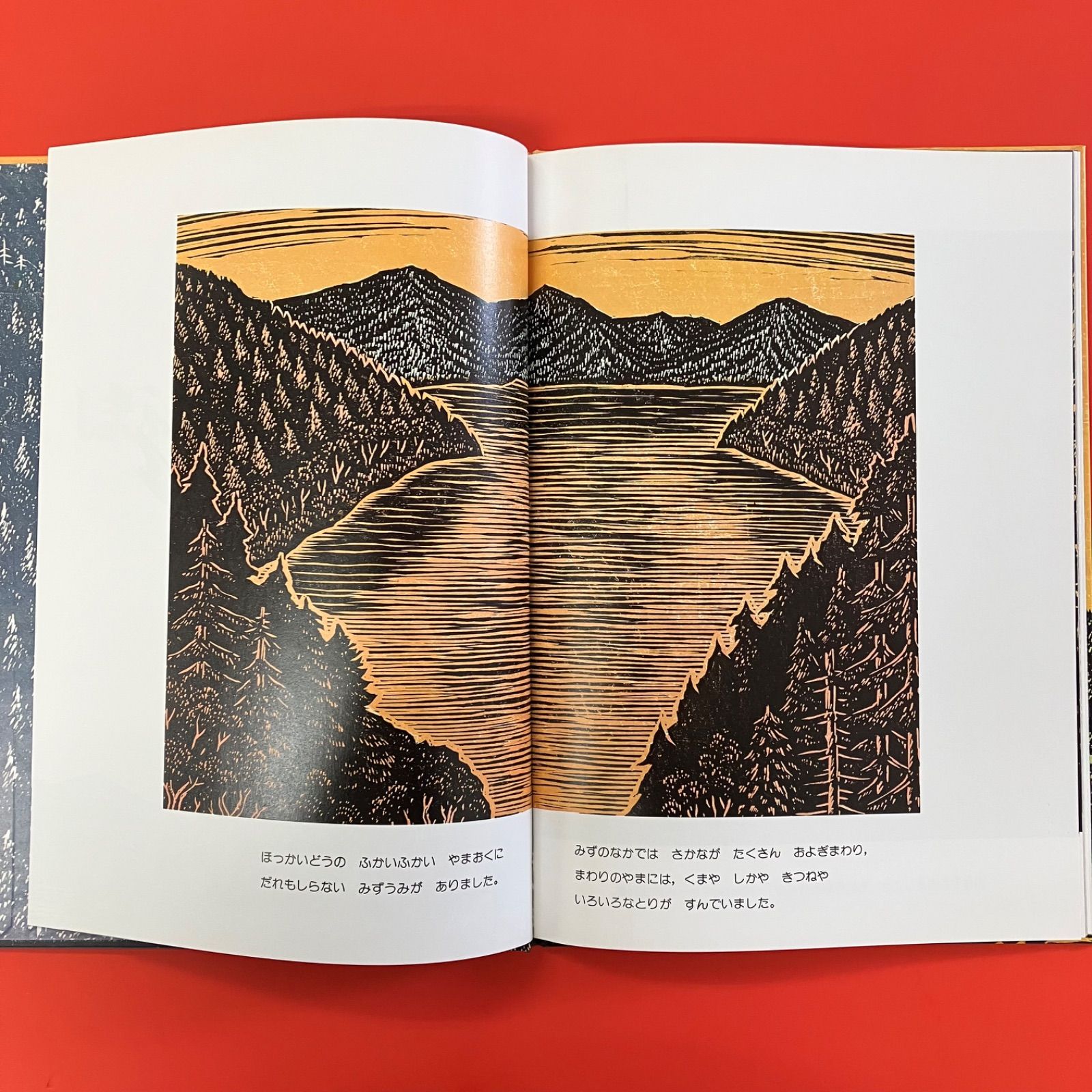 しまふくろうのみずうみ ym_c0_6524 - メルカリ