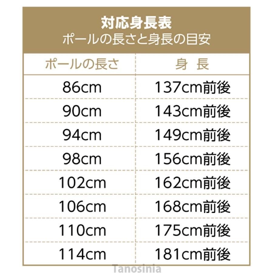 両手杖