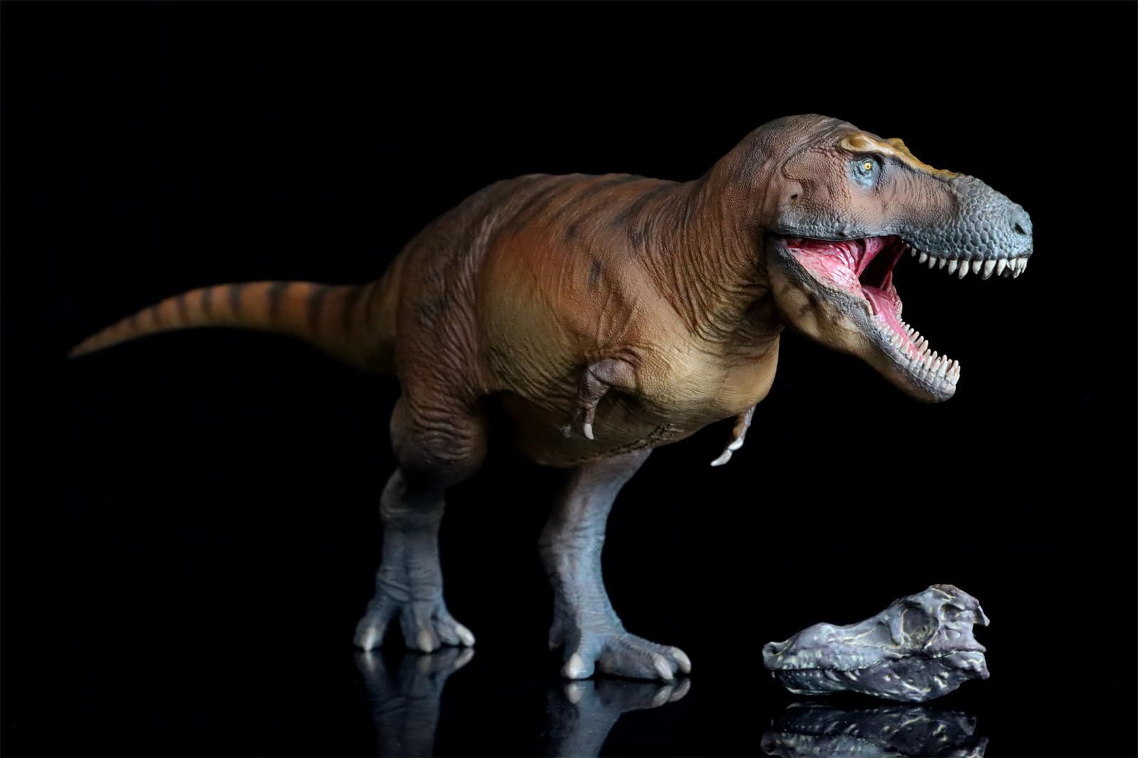 PNSO 恐竜博物館 1/35 サイズ ティラノサウルス T-REX フィギュア キャメロン 35cm級 頭蓋骨付属 口開閉可能 塗装済 肉食 恐竜  リアル PVC おもちゃ 科学 芸術 模型 恐竜好き プレゼント プレミアム スタチュー - メルカリ