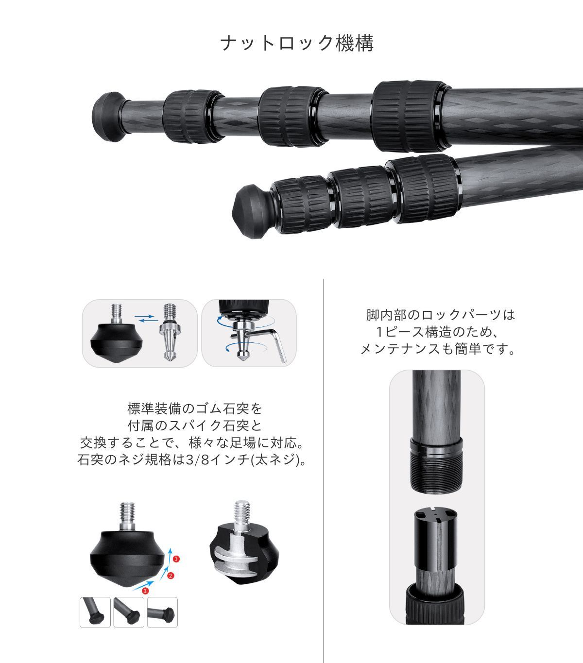 レオフォト